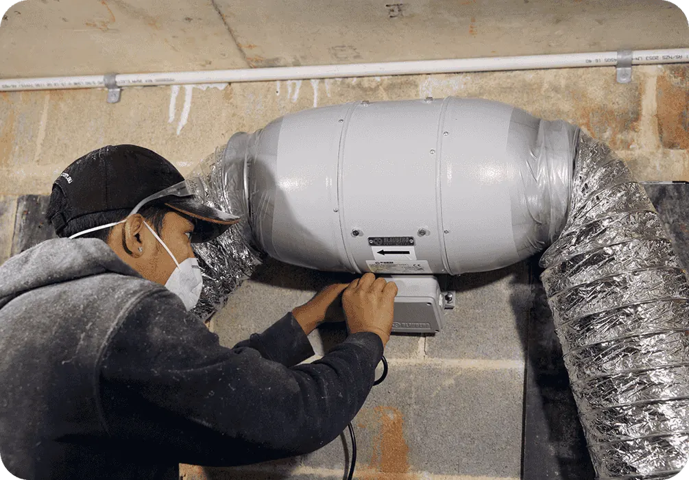 Moisture & Damp Control