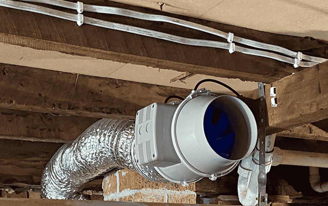 Mould & Mildew Prevention