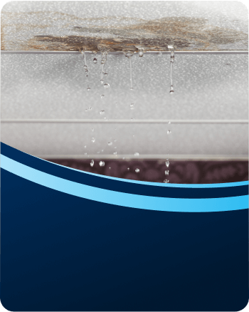 Blocked Drains